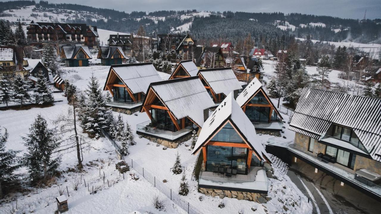 Vip Chalet Zakopane Kościelisko Kültér fotó